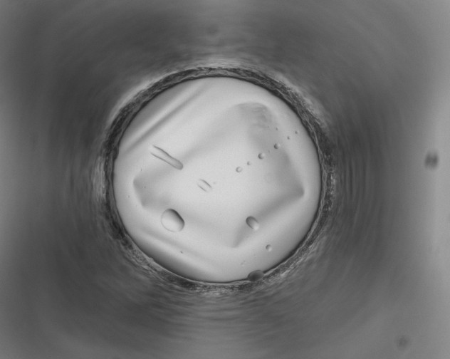 X0000116811262201001081348