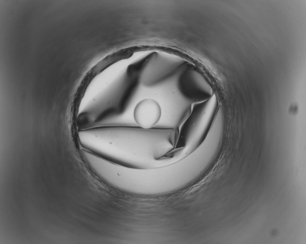 X0000116811264201001081348