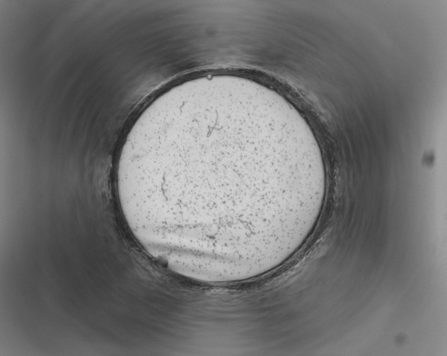 X0000116811265201001081348