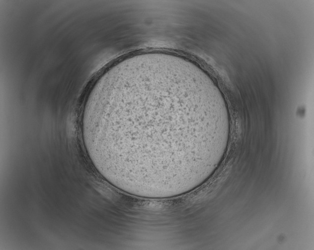 X0000116811266201001081348