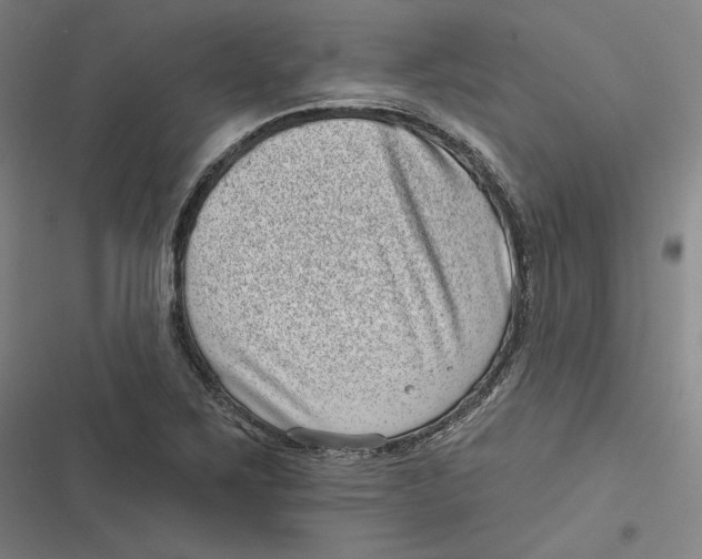 X0000116811267201001081348