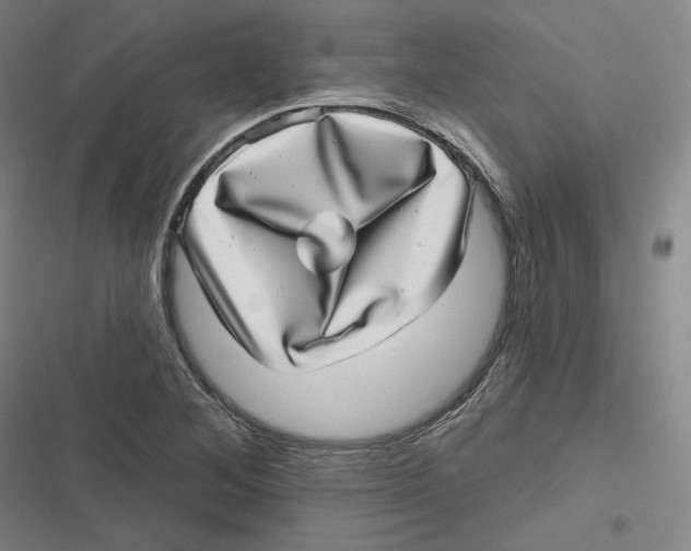 X0000116811268201001081348