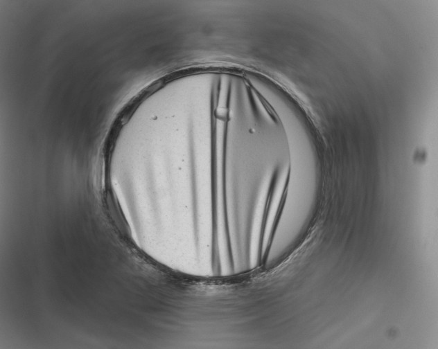 X0000116811269201001081348