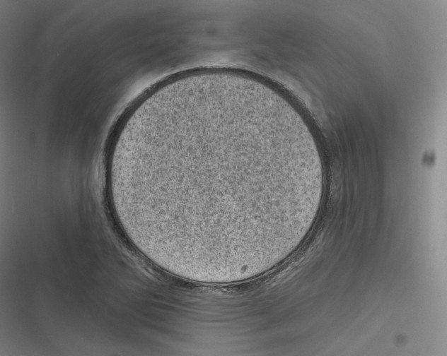 X0000116811270201001081348