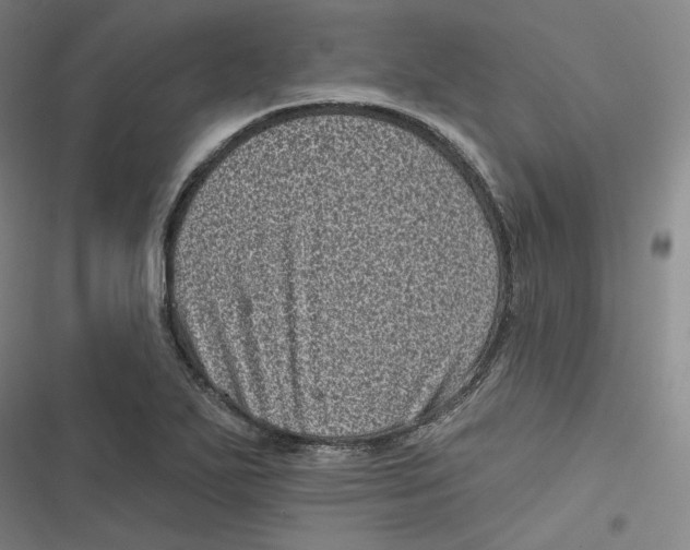 X0000116811271201001081348