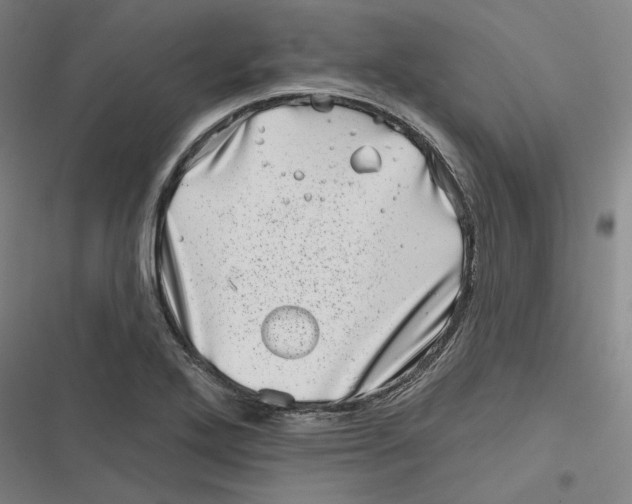 X0000116811272201001081348