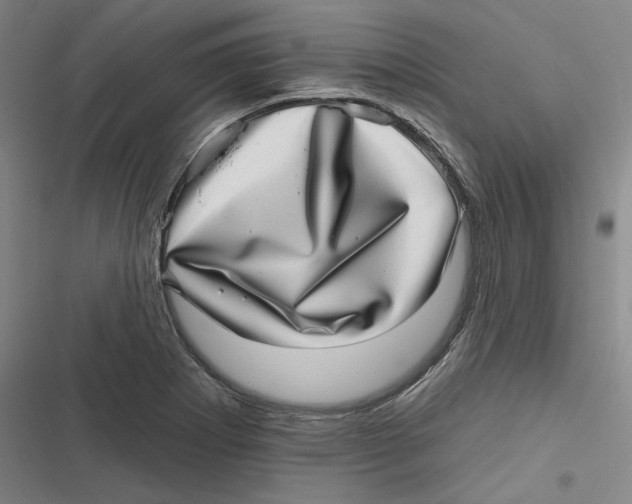 X0000116811273201001081348