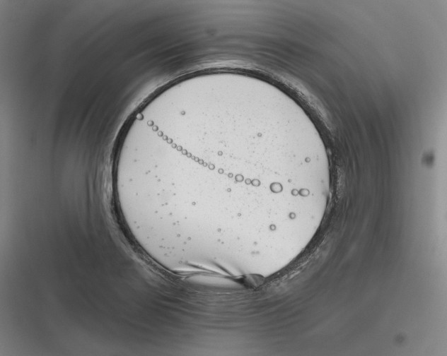 X0000116811274201001081348