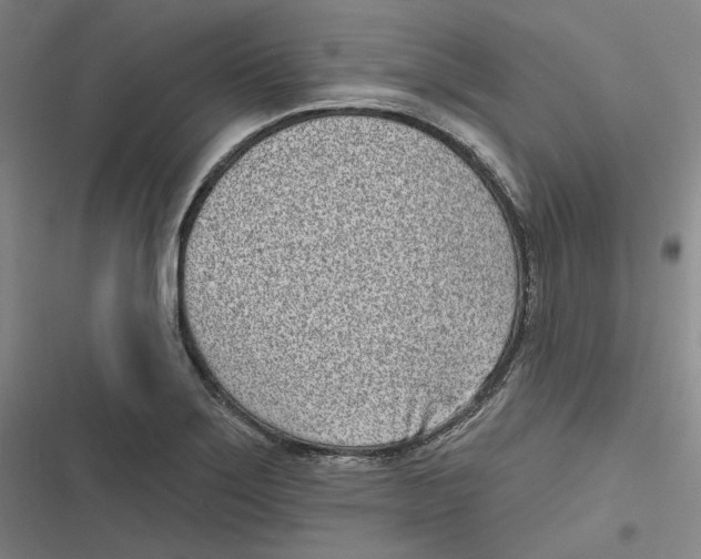 X0000116811275201001081348