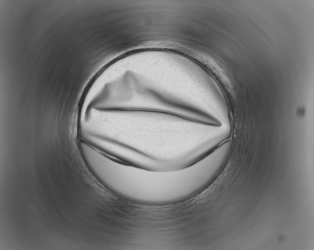 X0000116811276201001081348