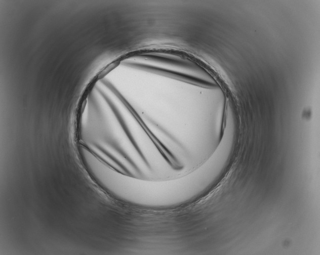 X0000116811277201001081348