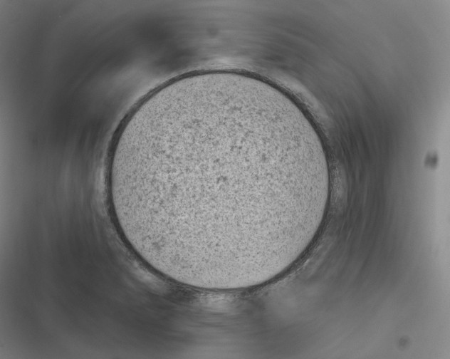 X0000116811278201001081348