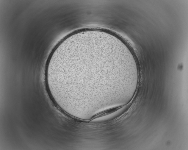 X0000116811279201001081348