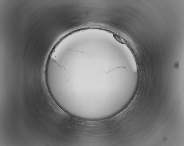 X0000116811280201001081348