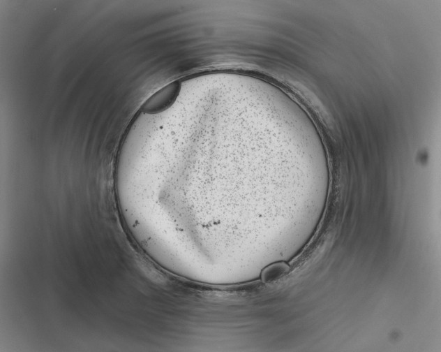 X0000116811281201001081348