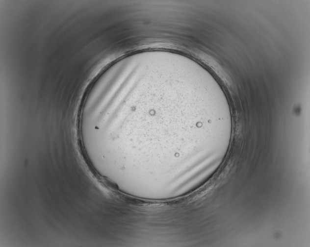 X0000116811282201001081348