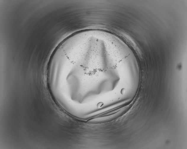 X0000116811284201001081347