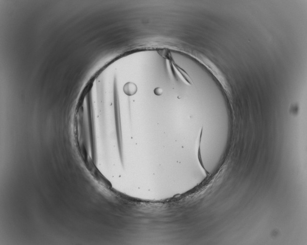 X0000116811285201001081347