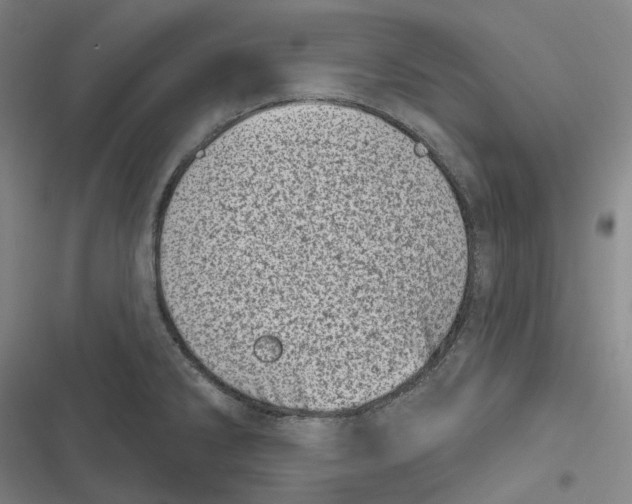 X0000116811286201001081347