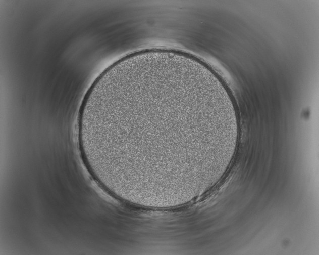 X0000116811287201001081347