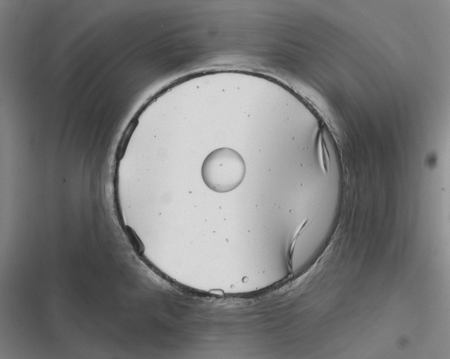 X0000116811288201001081347