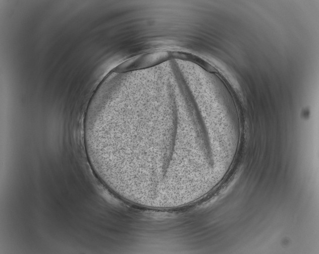 X0000116811289201001081347