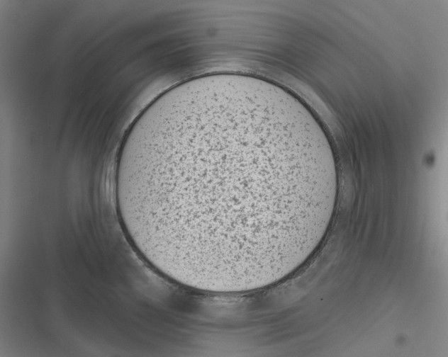 X0000116811290201001081347