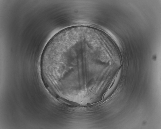 X0000116811291201001081347