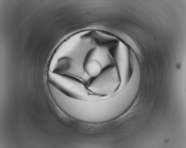 X0000116811292201001081347