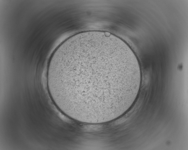 X0000116811294201001081347