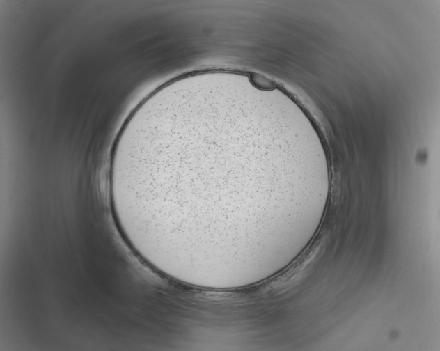 X0000116811295201001081347