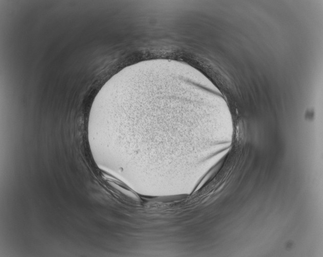 X0000116811299201001081347