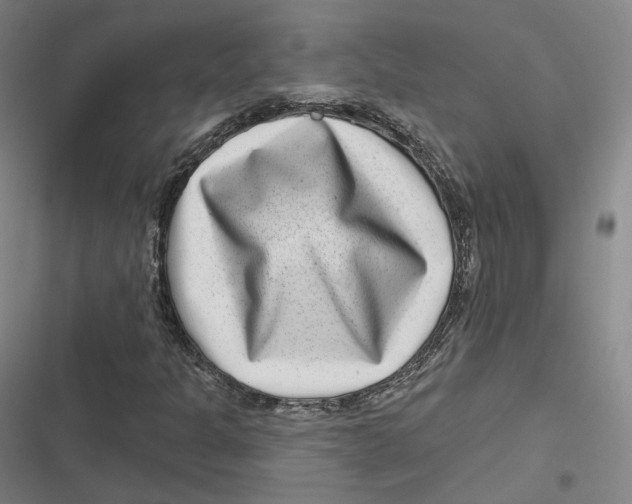 X0000116811301201001081347