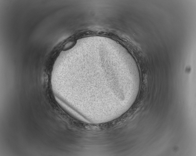 X0000116811302201001081347