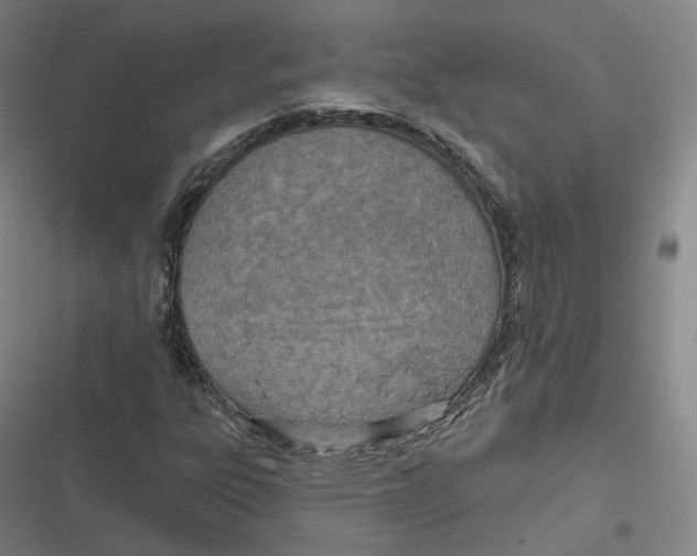 X0000116811303201001081347