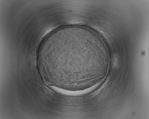 X0000116811306201001081347