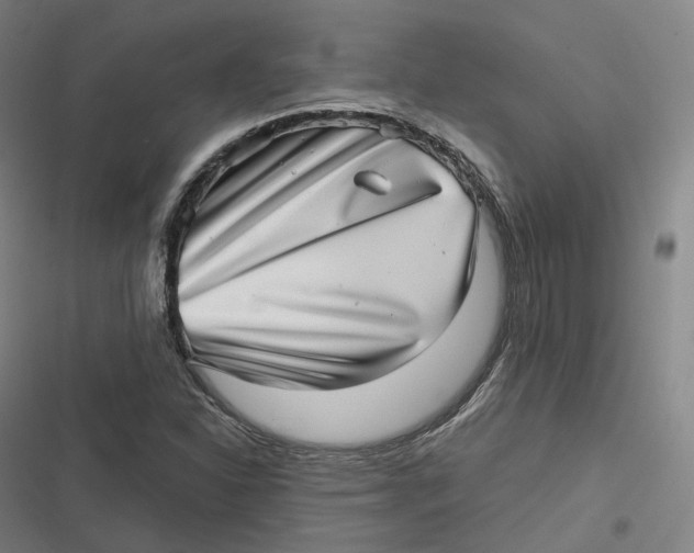 X0000116811310201001081347