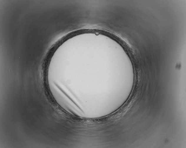 X0000116811311201001081347