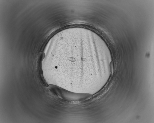 X0000116811313201001081347