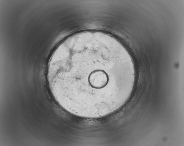 X0000116811314201001081347