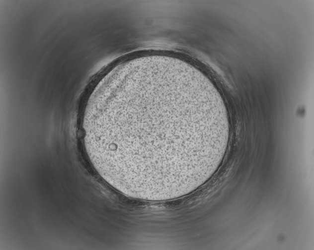 X0000116811315201001081347