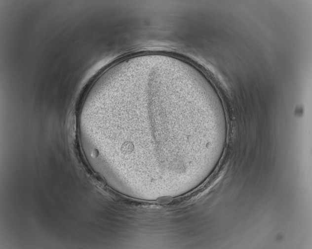 X0000116811317201001081347