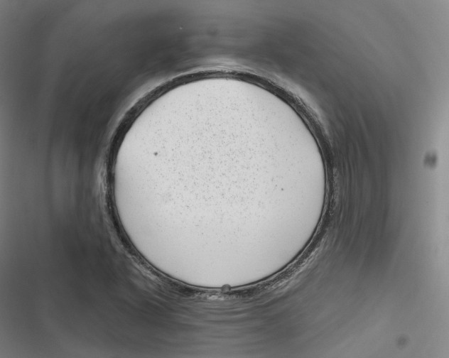 X0000116811318201001081347