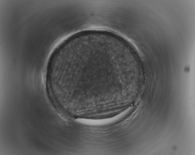 X0000116811319201001081347