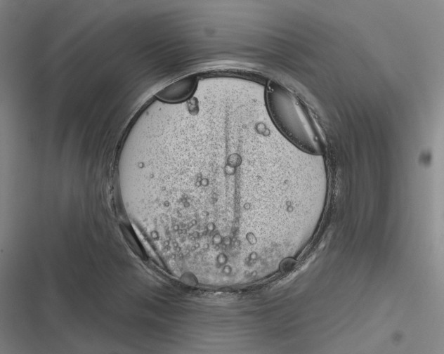 X0000116811321201001081347