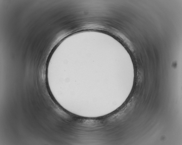 X0000116811322201001081347