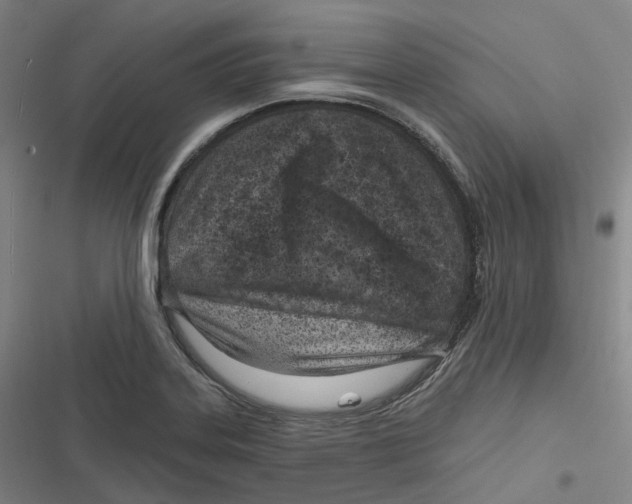 X0000116811323201001081347