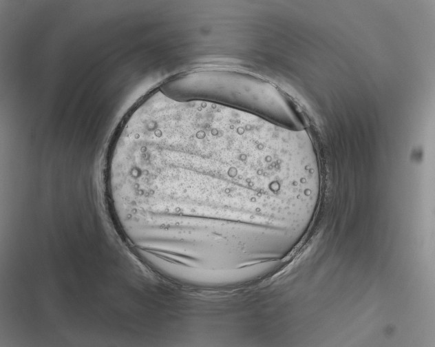 X0000116811325201001081347