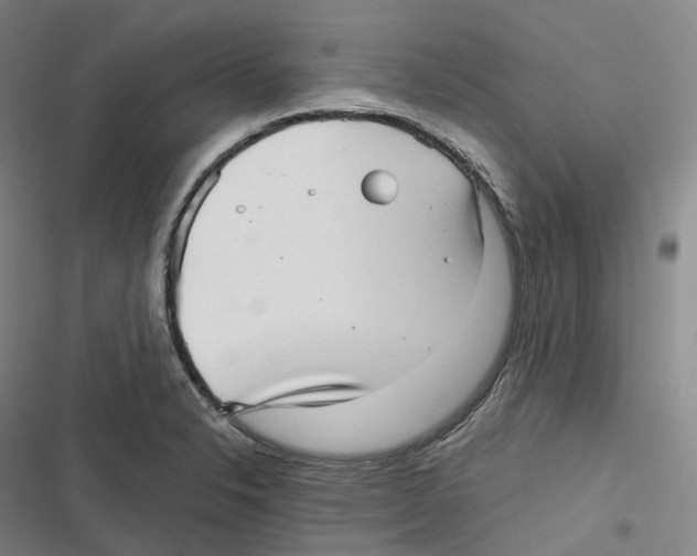 X0000116811326201001081347