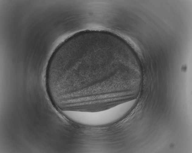 X0000116811327201001081347